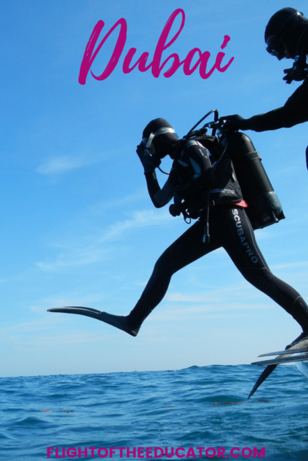 Interested in going Scuba Diving while you're in Dubai? The UAE is actually a great place for diving! Click to read about what to expect! #Scuba #Scubadiving #dubai #watersports