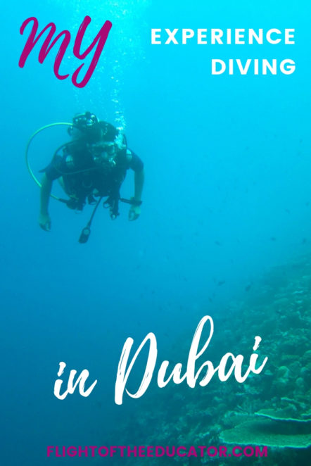 Interested in going Scuba Diving while you're in Dubai? The UAE is actually a great place for diving! Click to read about what to expect! #Scuba #Scubadiving #dubai #watersports