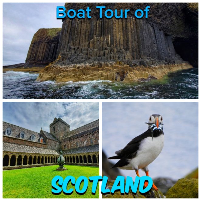 You know about the highland cows, but did you know that Scotland also has puffins? You can take a boat tour that takes you to see the puffins and an island with basalt columns like the Giant's Causeway! #Scotland #Puffins #Wildlife