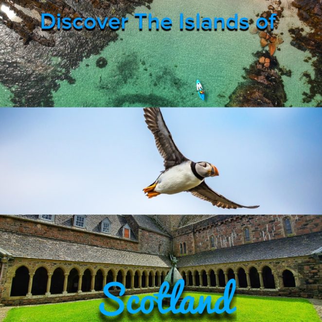 You know about the highland cows, but did you know that Scotland also has puffins? You can take a boat tour that takes you to see the puffins and an island with basalt columns like the Giant's Causeway! #Scotland #Puffins #Wildlife