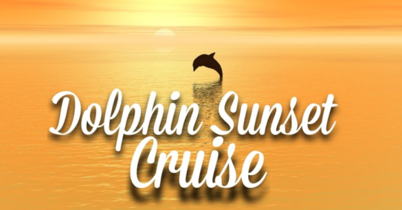 dolphin sunset cruise