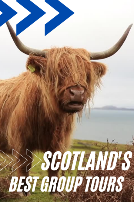 Scotland has a lot to offer, but there are many group tours to choose from! I've found you the best tours for each type of tour you might be considering! #Scotland #Scotlandtours #SmallgroupTours